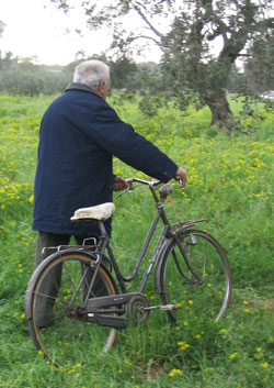 anziano_bici